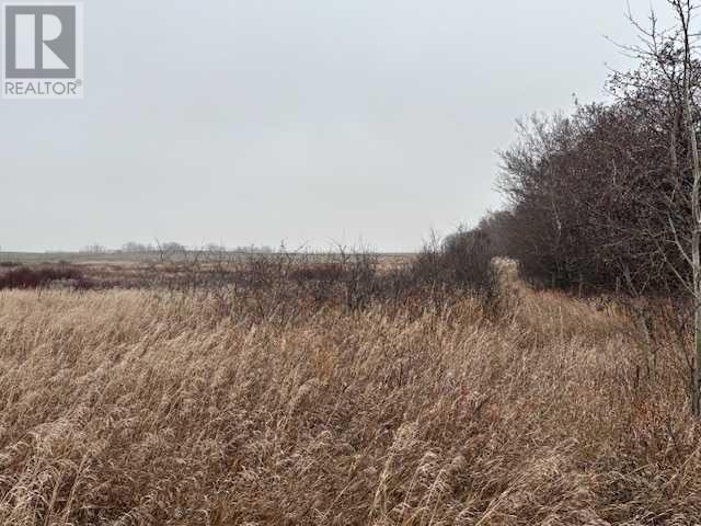 Township Road 40-3, Stettler, Alberta  T0C 2L0 - Photo 25 - A2179059