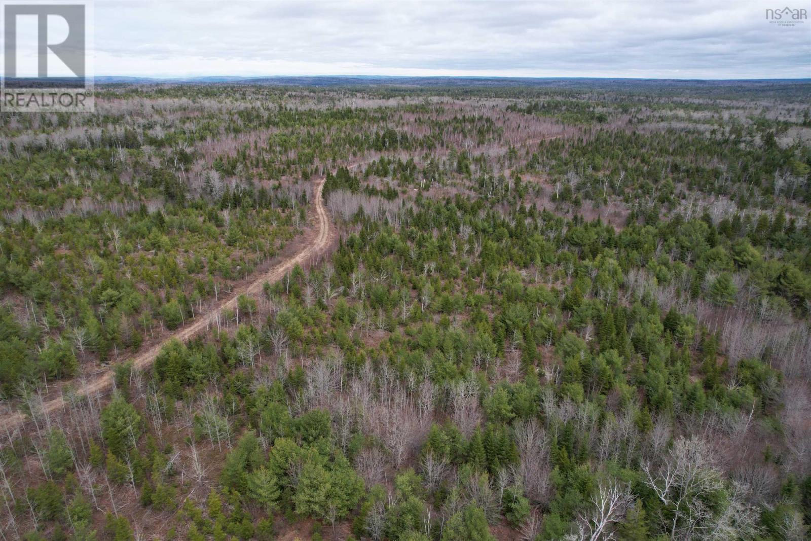 Lots Baillie Lake Road, Virginia, Nova Scotia  B0S 1A0 - Photo 11 - 202407272