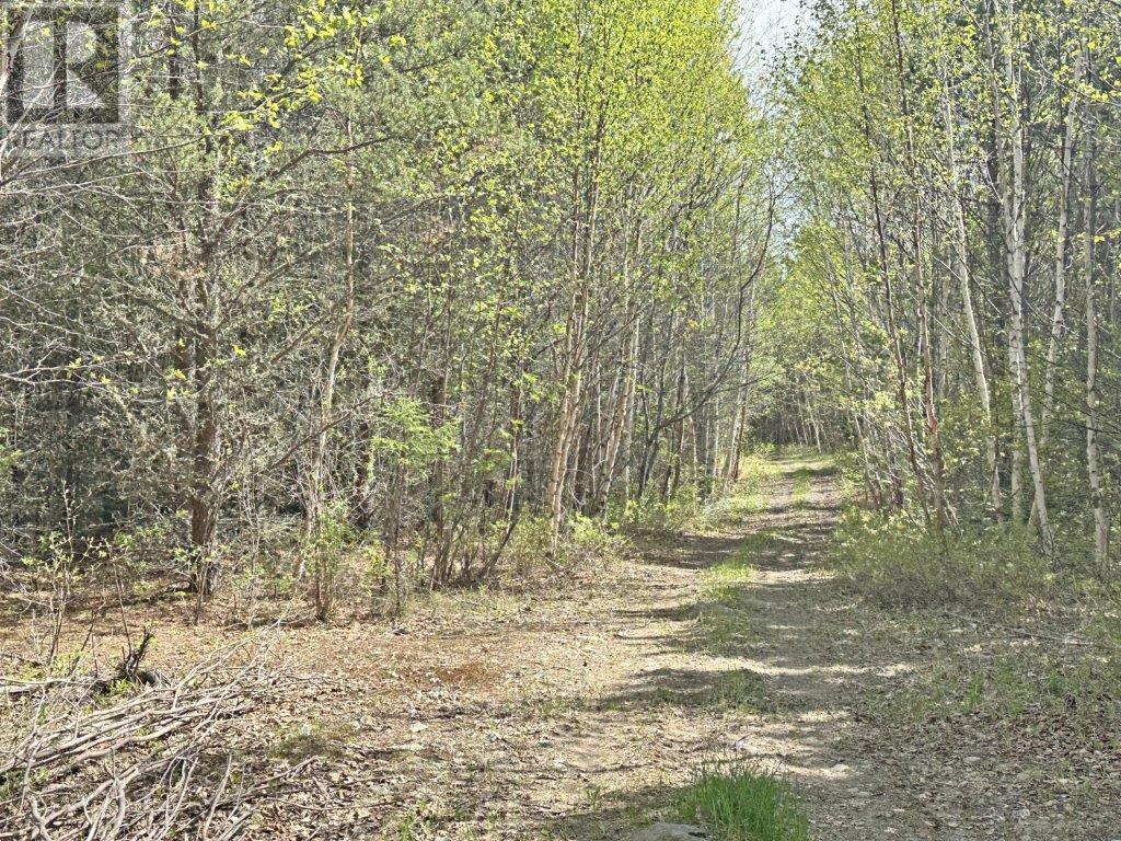 Pcl 26819 Purdom Lake, Nipigon, Ontario  P0T 2J0 - Photo 6 - TB242048