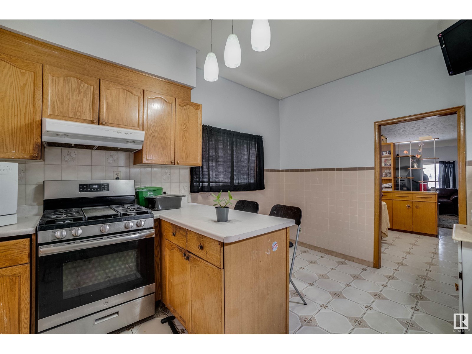 9531 109a Av Nw, Edmonton, Alberta  T5H 1G2 - Photo 13 - E4413896