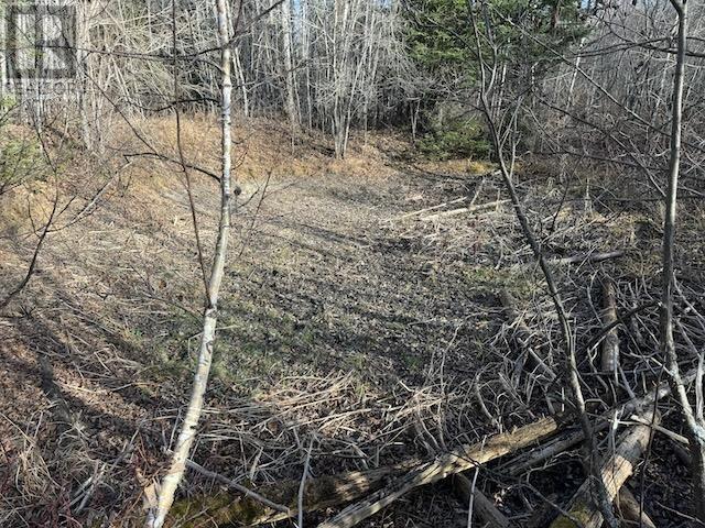 Pcl 17837/24623 Sandy Point Rd, Borups Corners, Ontario  P0V 1P0 - Photo 2 - TB243534