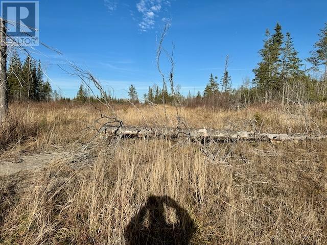 Pcl 17837/24623 Sandy Point Rd, Borups Corners, Ontario  P0V 1P0 - Photo 6 - TB243534