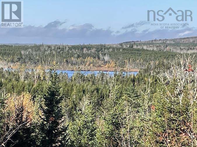 505 Cove Road, Watervale, Nova Scotia  B0K 1P0 - Photo 15 - 202426813