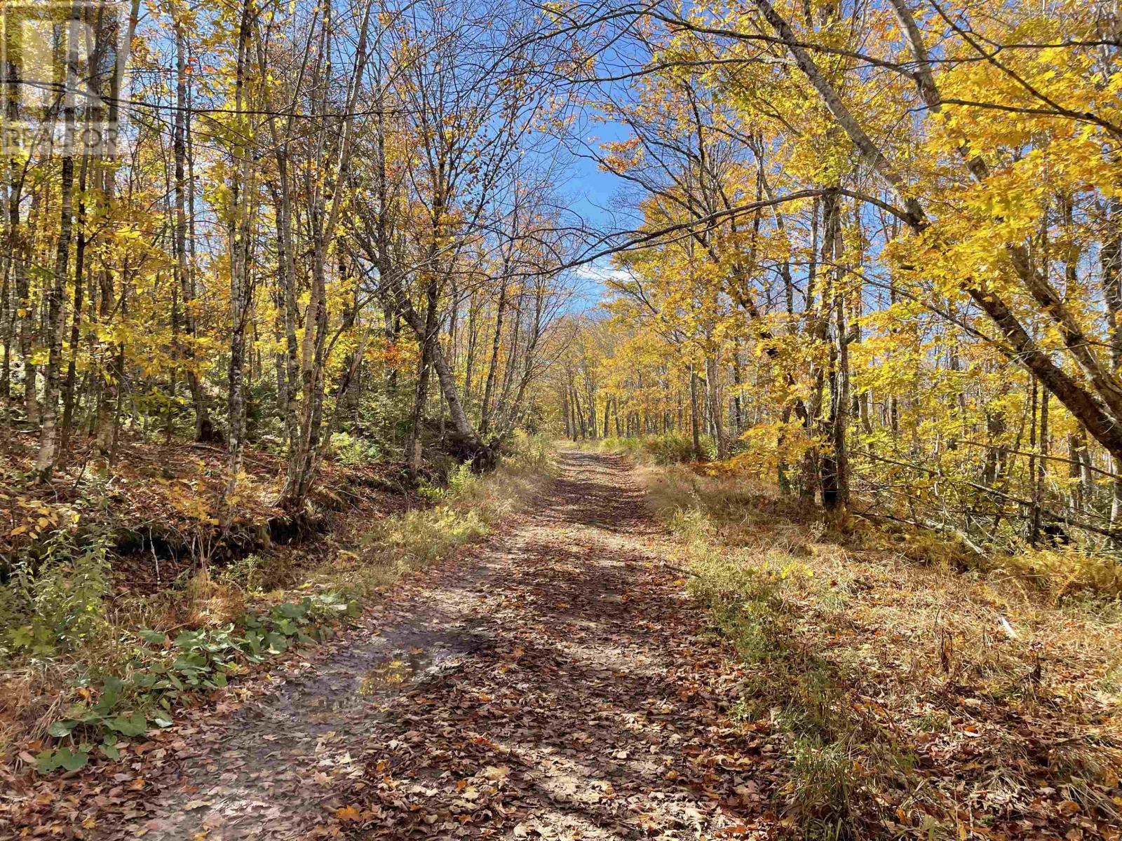 505 Cove Road, Watervale, Nova Scotia  B0K 1P0 - Photo 4 - 202426813
