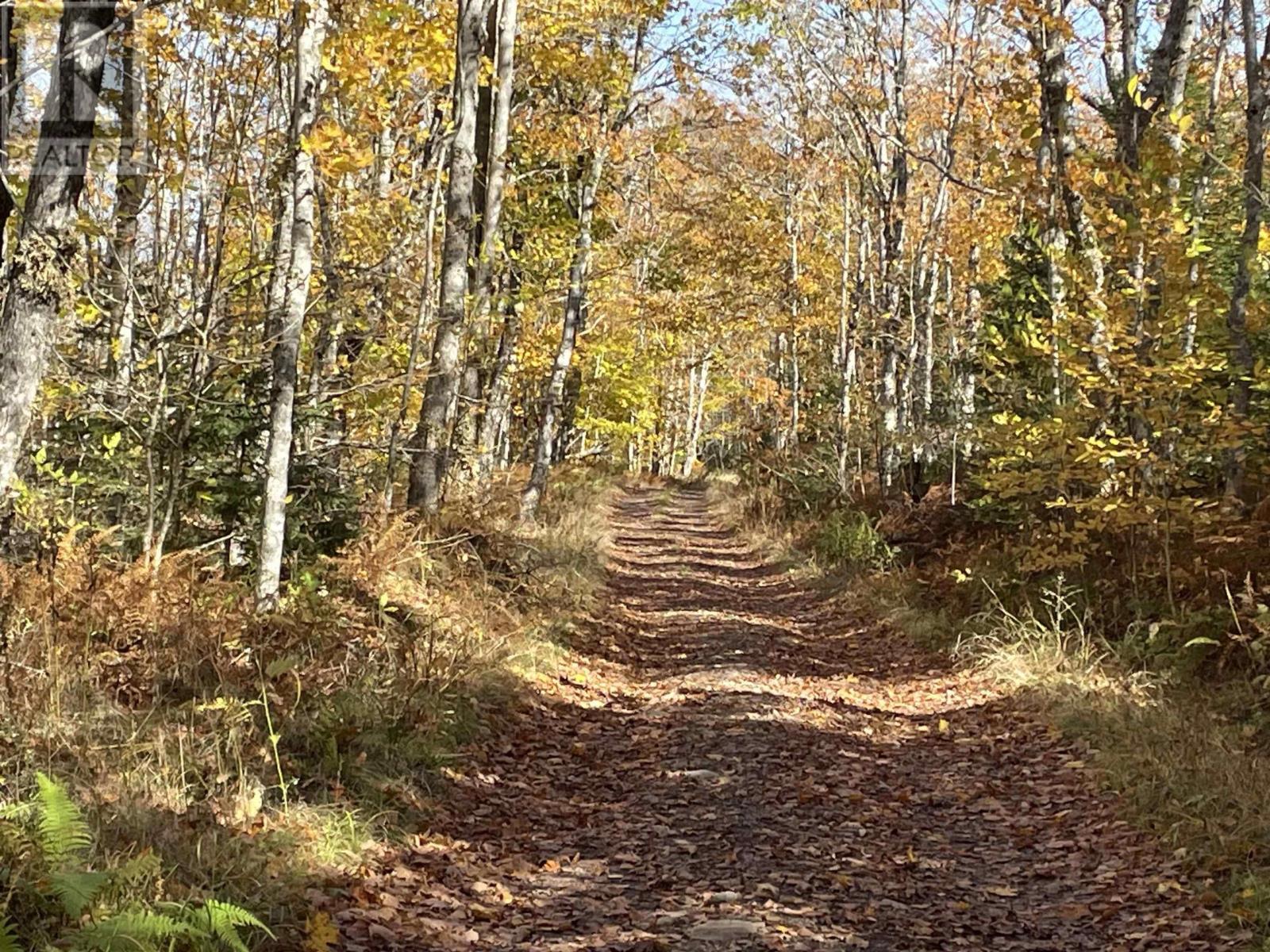 505 Cove Road, Watervale, Nova Scotia  B0K 1P0 - Photo 5 - 202426813
