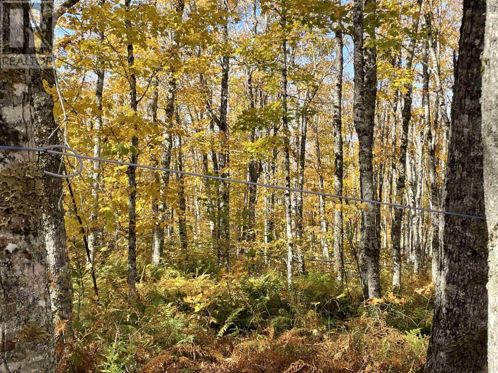 505 Cove Road, Watervale, Nova Scotia  B0K 1P0 - Photo 6 - 202426813