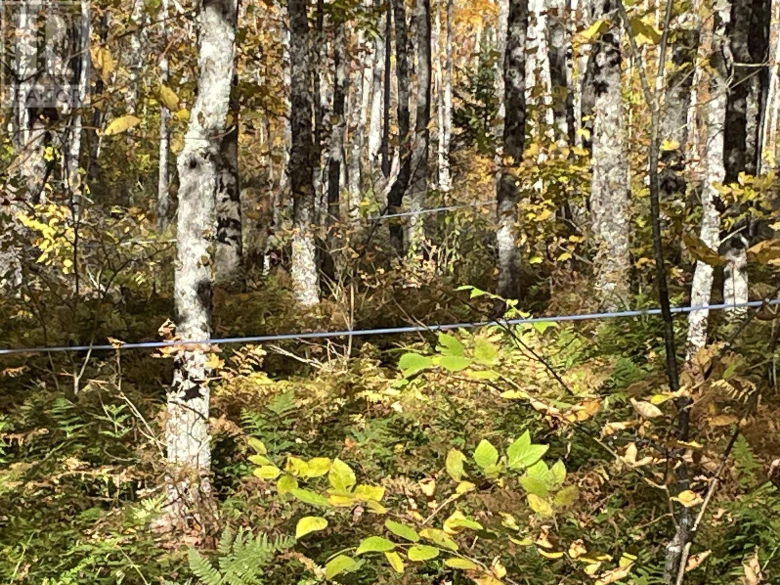 505 Cove Road, Watervale, Nova Scotia  B0K 1P0 - Photo 7 - 202426813