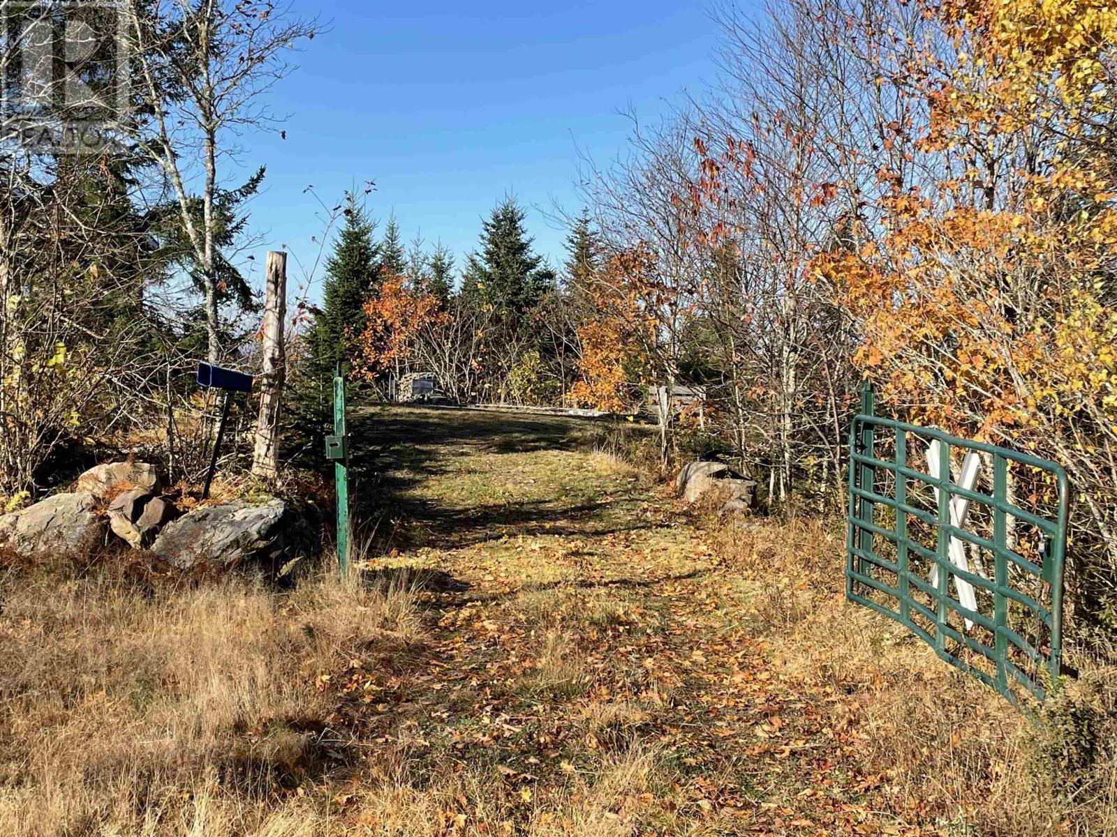 505 Cove Road, Watervale, Nova Scotia  B0K 1P0 - Photo 9 - 202426813