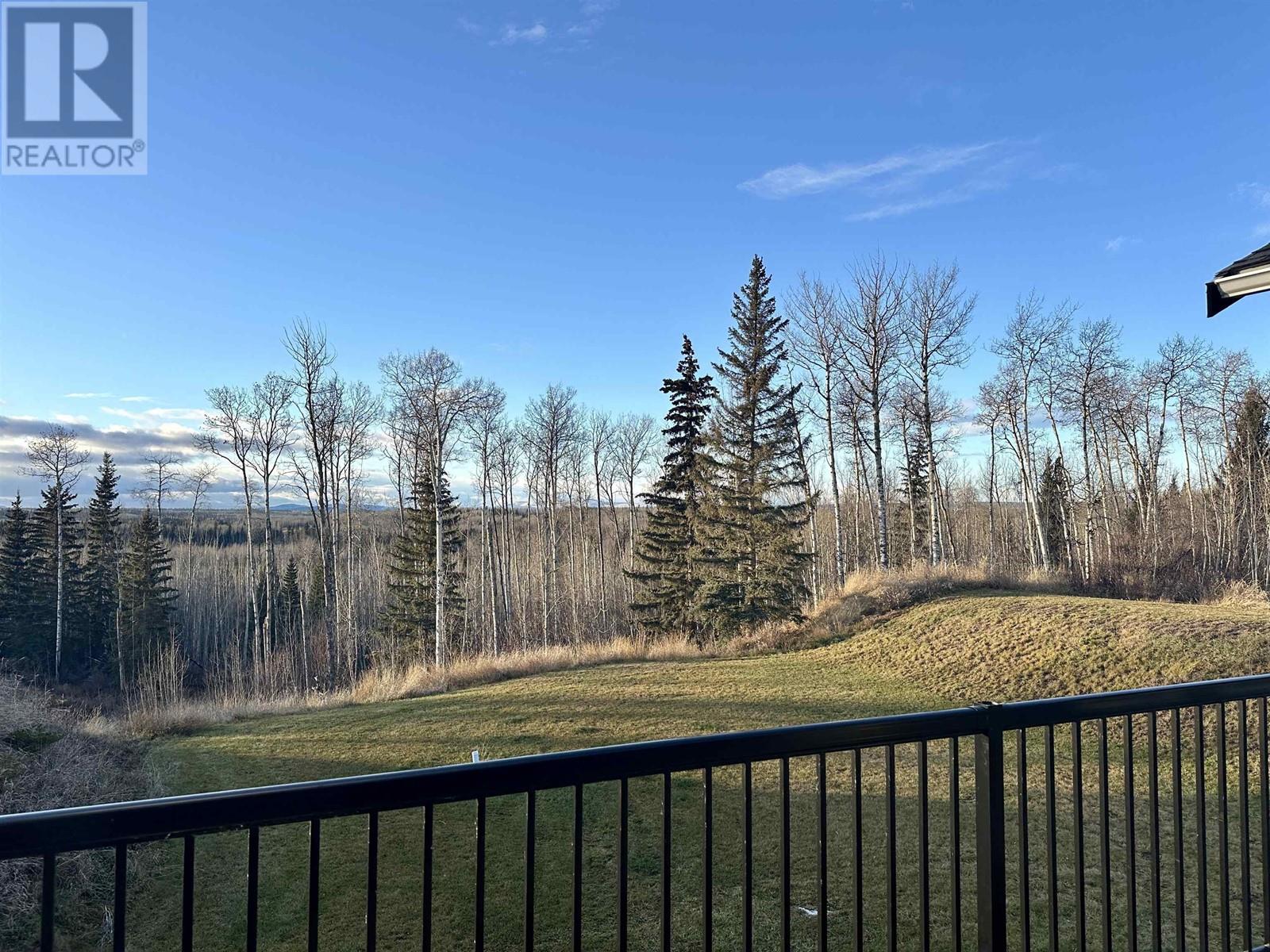 6549 Jones Road, Vanderhoof, British Columbia  V0J 3A2 - Photo 6 - R2944977