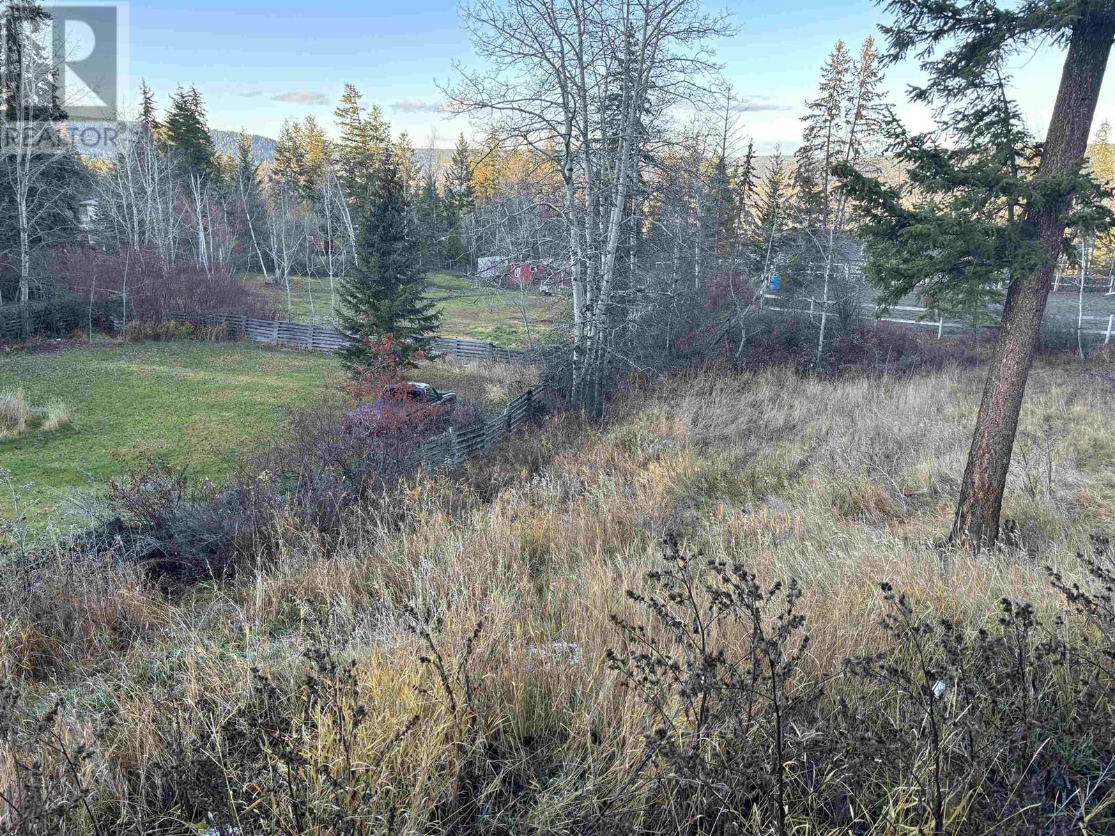406 Richard Street, Williams Lake, British Columbia  V2G 3L7 - Photo 14 - R2939551
