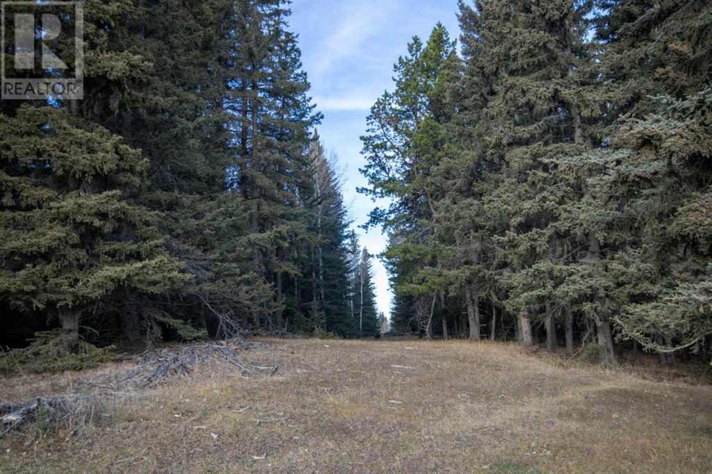 Range Road 5.2, Rural Mountain View County, Alberta  T0M 1X0 - Photo 12 - A2179049