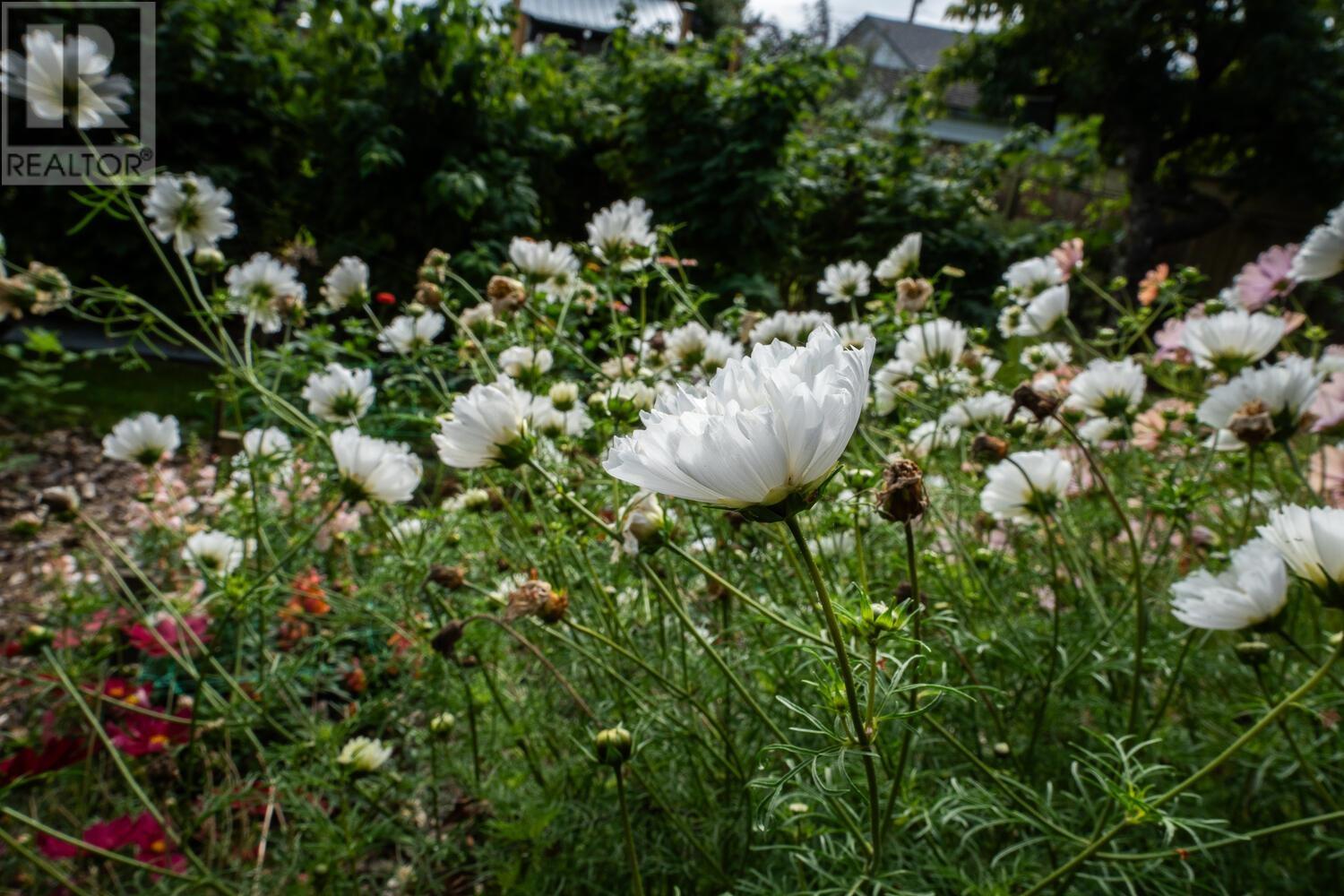4423 41b Street, Delta, British Columbia  V4K 2K8 - Photo 32 - R2945277