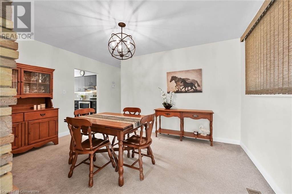 166 Rifle Range Road, Hamilton, Ontario  L8S 3B6 - Photo 11 - 40678911
