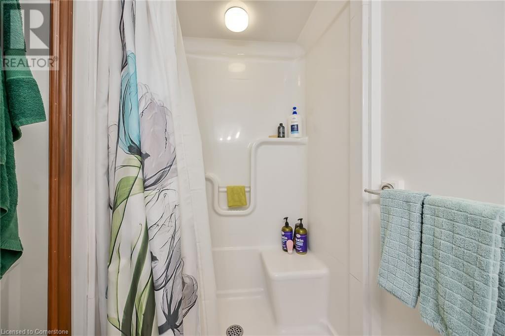 166 Rifle Range Road, Hamilton, Ontario  L8S 3B6 - Photo 23 - 40678911