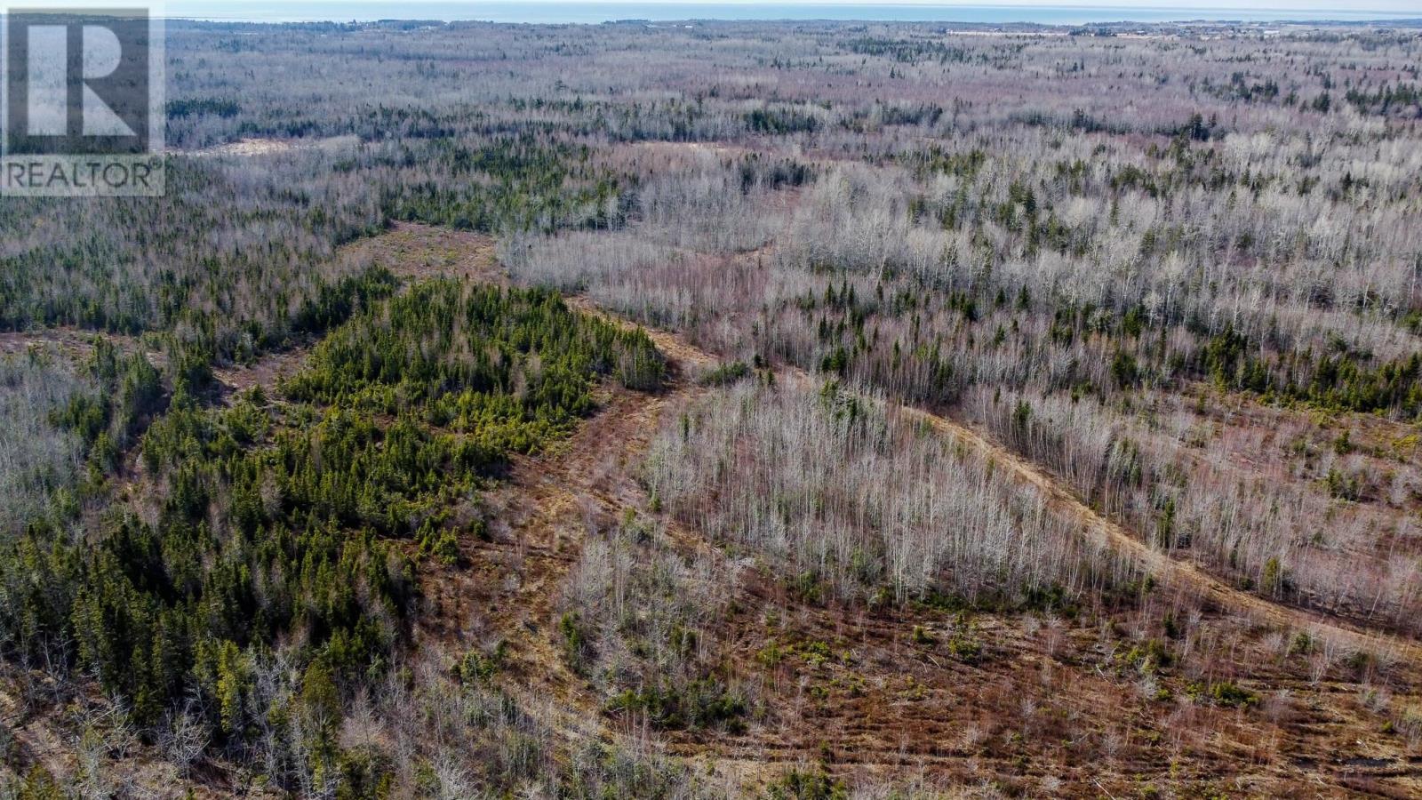 Cannontown Road, Rte 165, St. Timothee, Prince Edward Island  C0B 2E0 - Photo 5 - 202426853