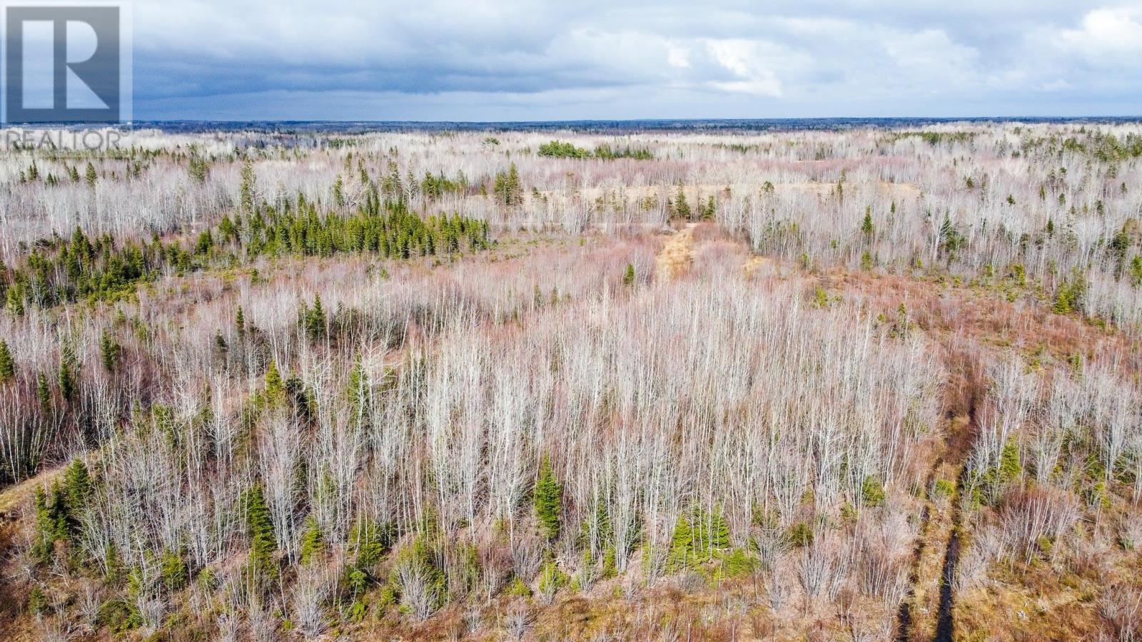 Cannontown Road, Rte 165, St. Timothee, Prince Edward Island  C0B 2E0 - Photo 9 - 202426853