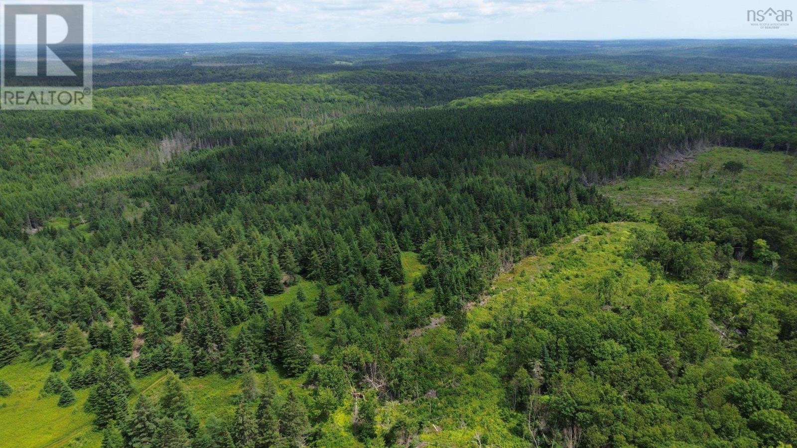 Lot Shaws Road, Lewis Cove Road, Nova Scotia  B0E 3B0 - Photo 3 - 202325236