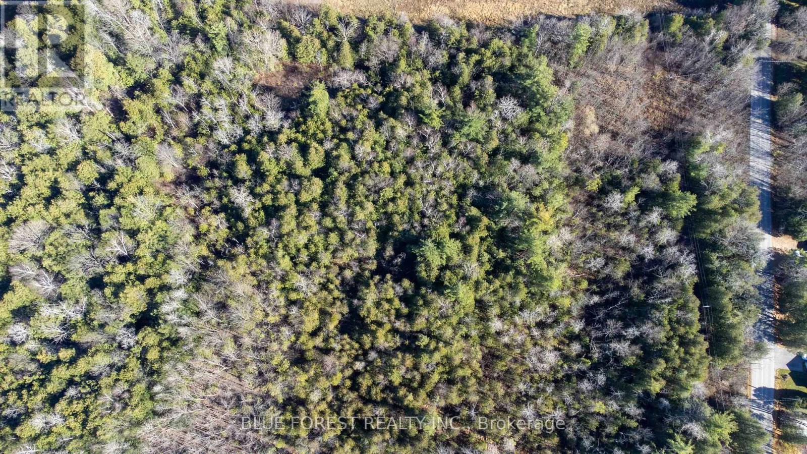4396 Wellington Road 32, Cambridge, Ontario N3C 2V4 - Photo 12 - X10430123