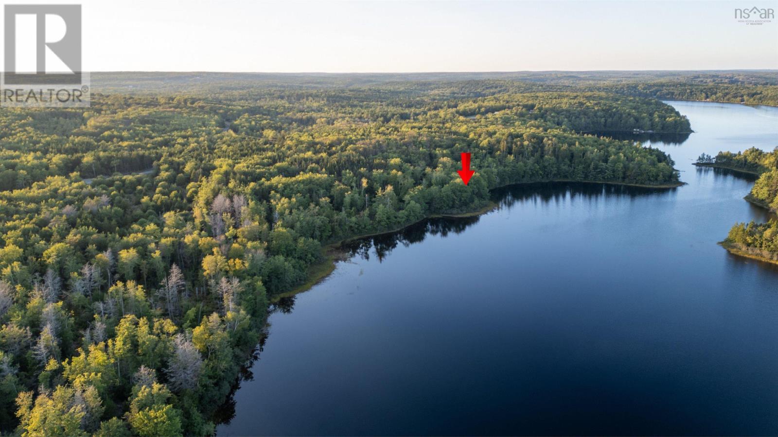 Lot 4 R & N Road, Carleton, Nova Scotia  B5A 5R2 - Photo 1 - 202426878