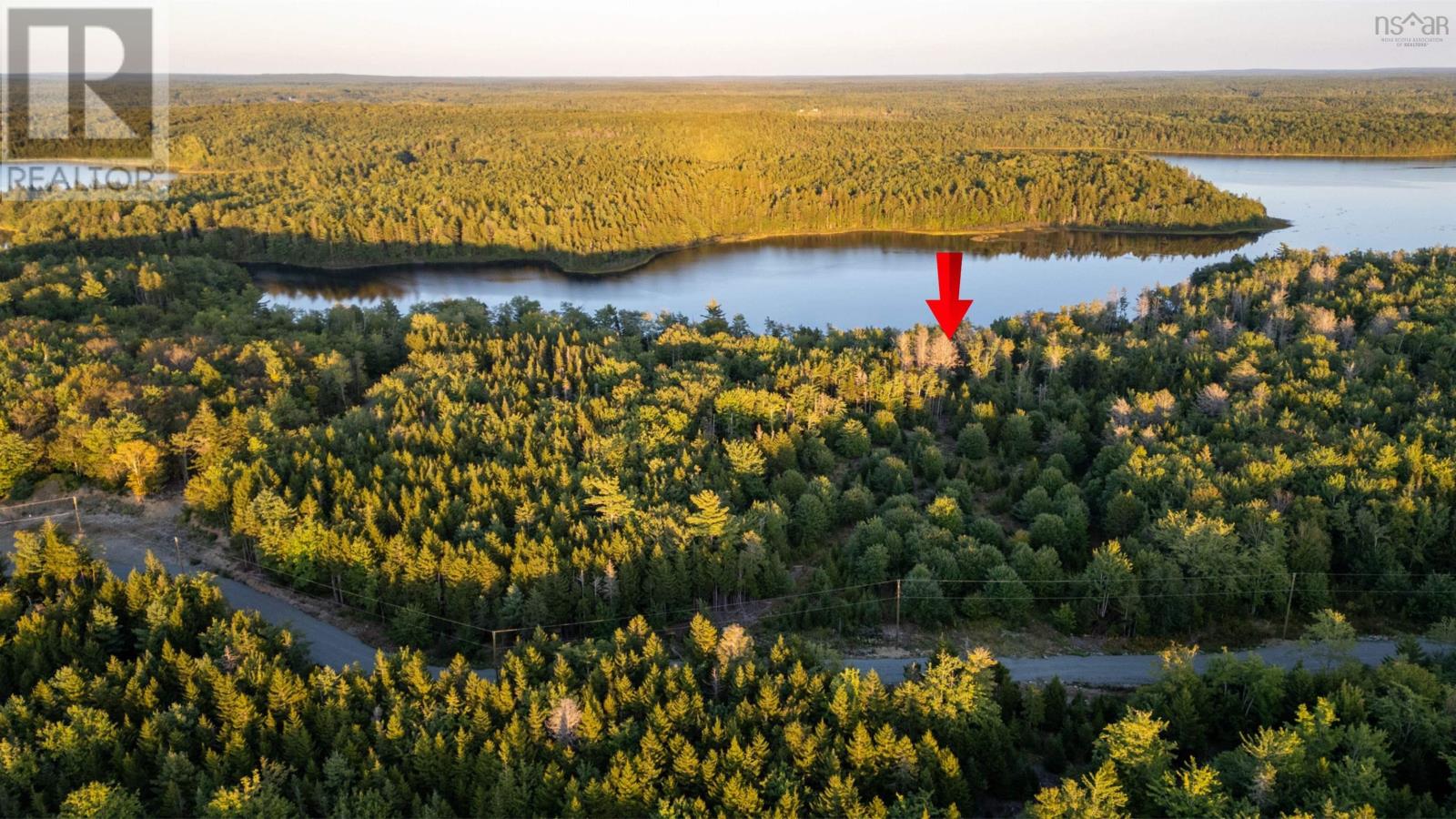 Lot 7 R & N Road, Carleton, Nova Scotia  B5A 5R2 - Photo 1 - 202426881