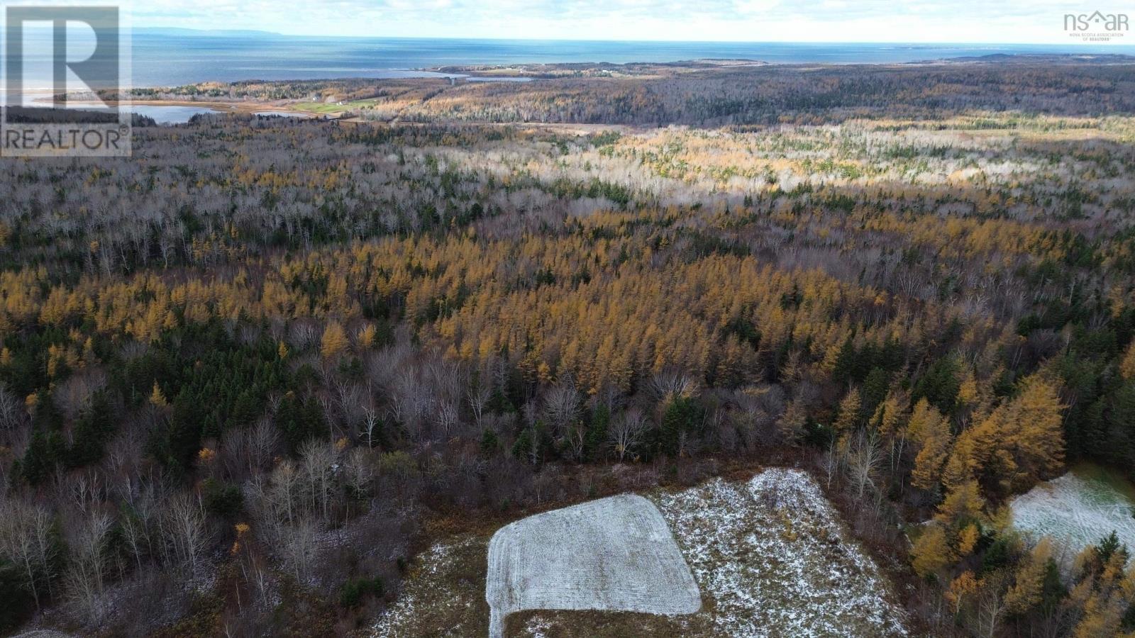Acreage Mill Brook Road, Judique North, Nova Scotia  B0E 1P0 - Photo 14 - 202425594