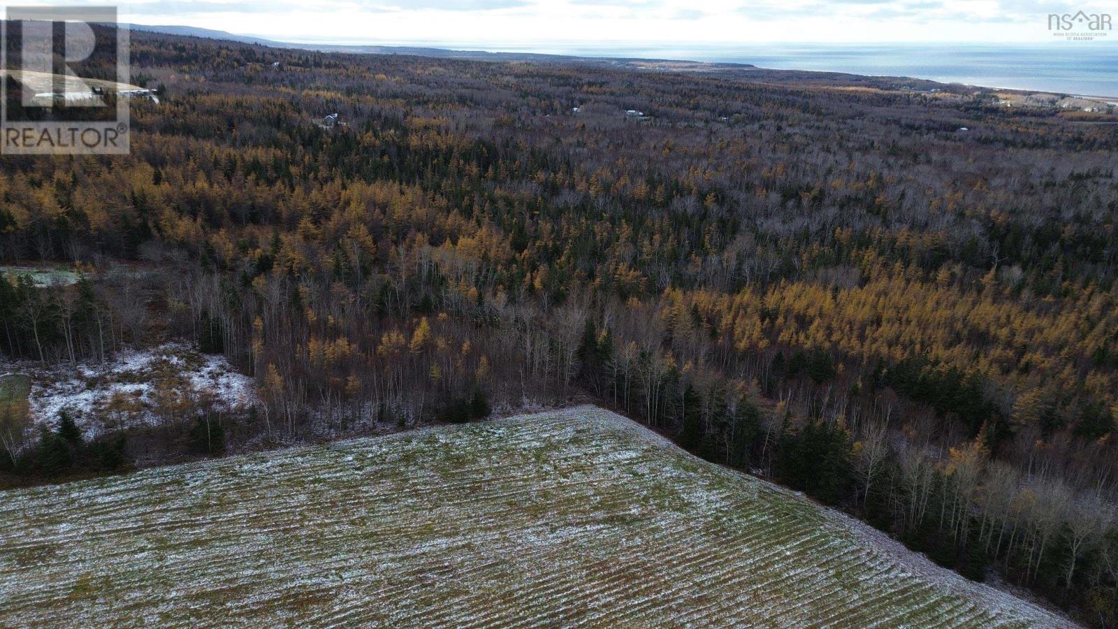 Acreage Mill Brook Road, Judique North, Nova Scotia  B0E 1P0 - Photo 16 - 202425594