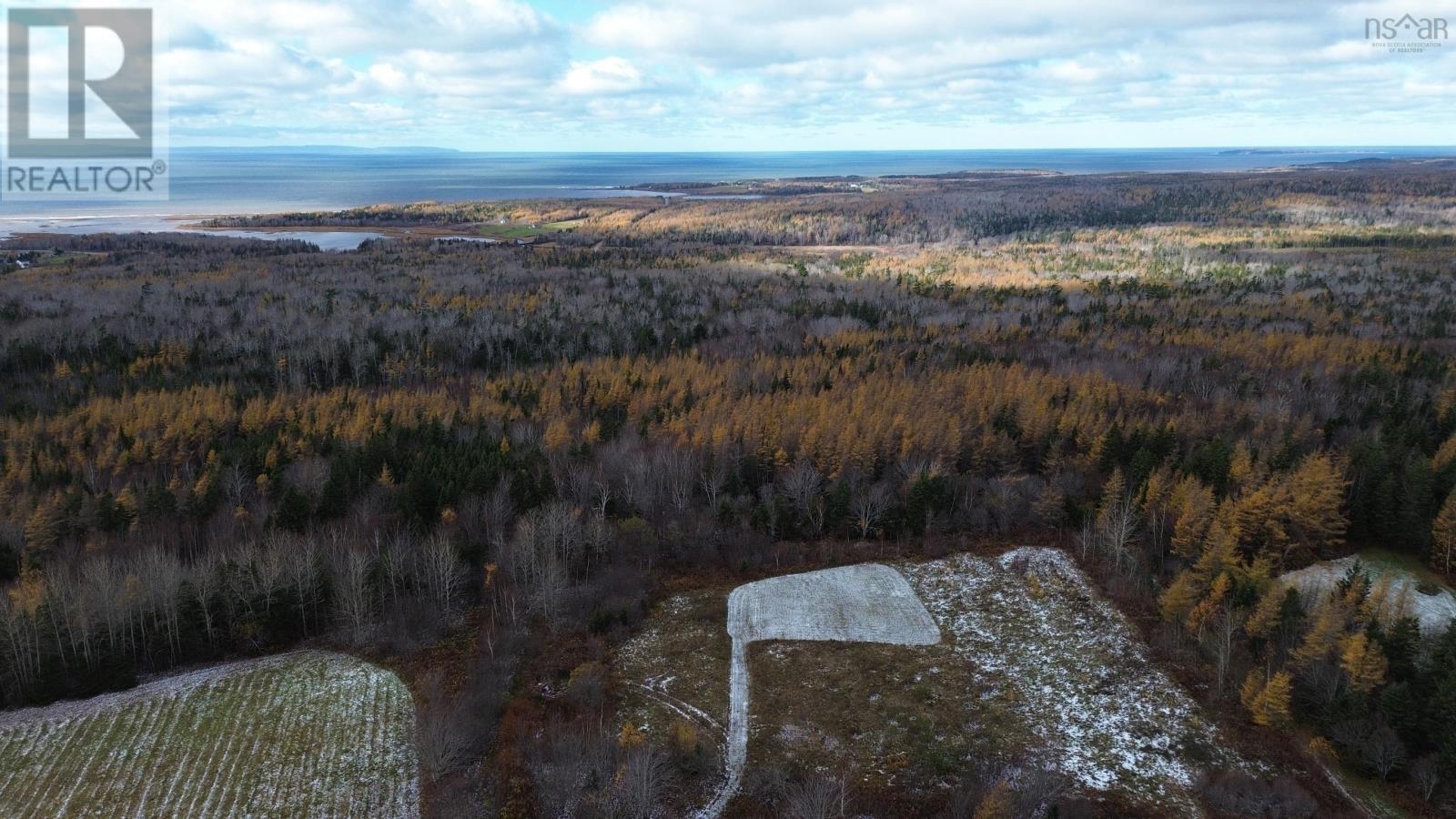 Acreage Mill Brook Road, Judique North, Nova Scotia  B0E 1P0 - Photo 17 - 202425594