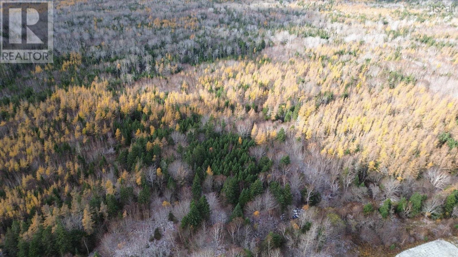 Acreage Mill Brook Road, Judique North, Nova Scotia  B0E 1P0 - Photo 2 - 202425594