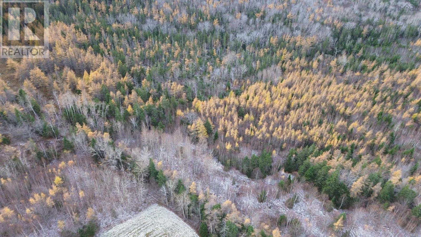 Acreage Mill Brook Road, Judique North, Nova Scotia  B0E 1P0 - Photo 6 - 202425594