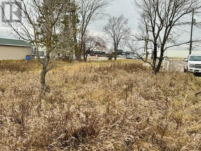 452 Government St, Dryden, Ontario  P8N 2P5 - Photo 8 - TB241859