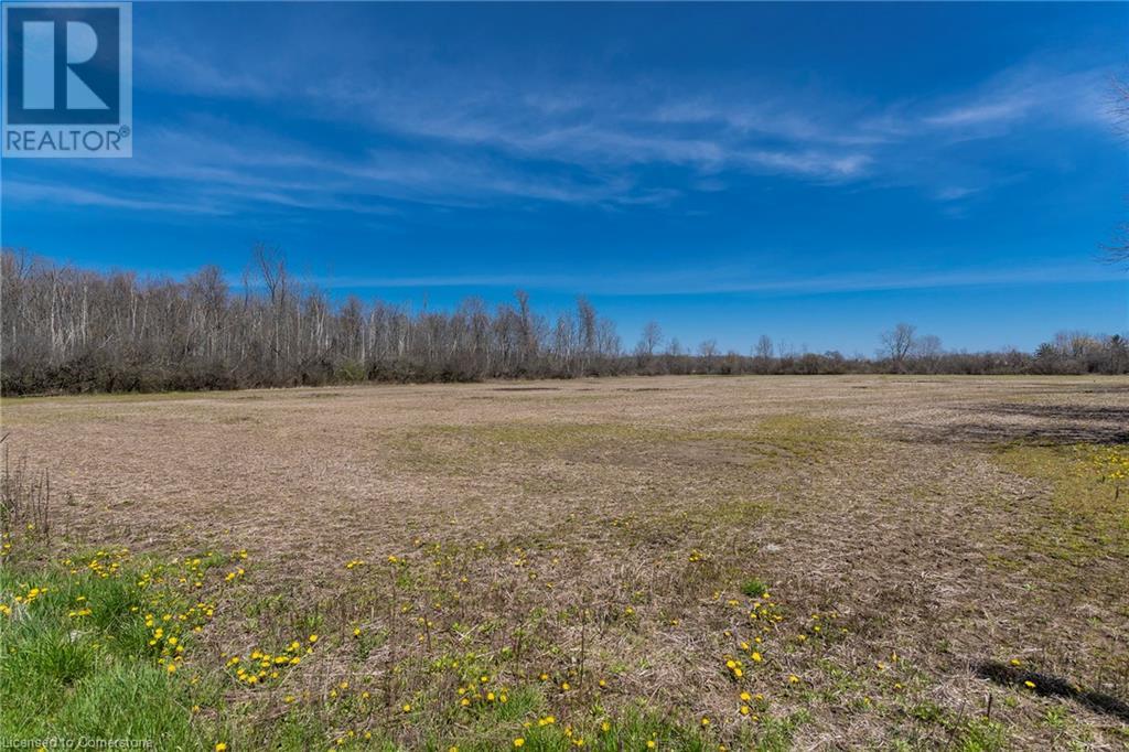 Lot 33 Conc 1, Sherkston Road, Fort Erie, Ontario  L0S 1N0 - Photo 5 - XH4202222