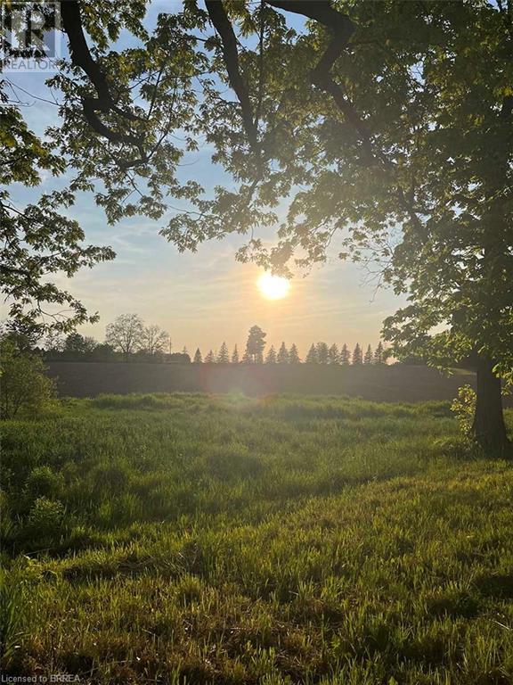 14 Biggars Lane, Mount Pleasant, Ontario  N0E 1K0 - Photo 49 - 40677826