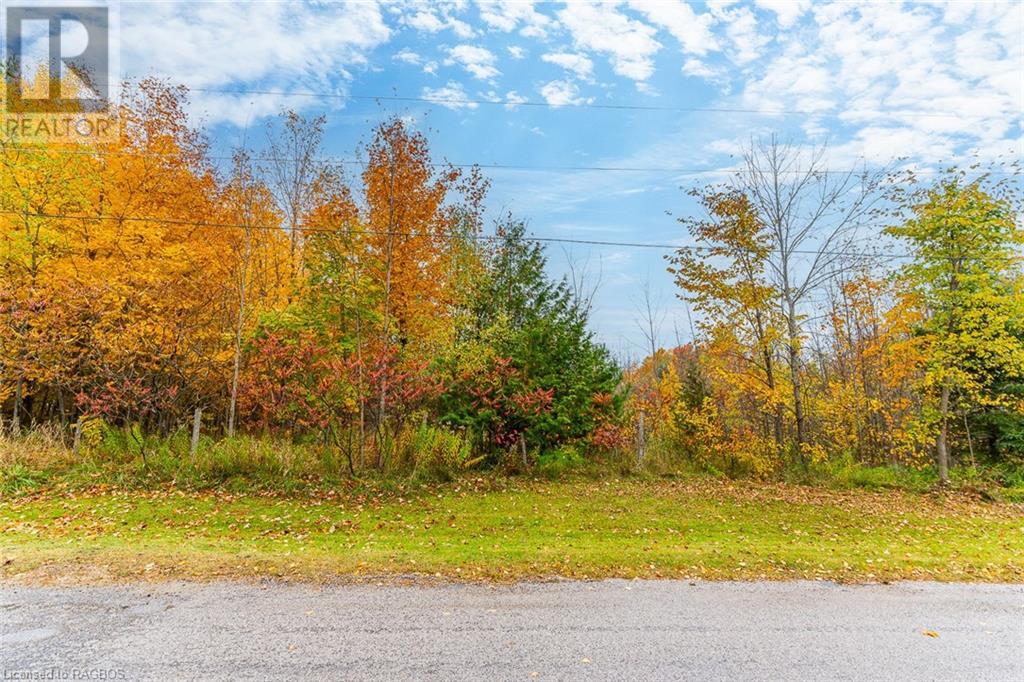 Pt Lt E Pl 146 Everett Road, South Bruce Peninsula, Ontario  N0H 2T0 - Photo 20 - 40601553