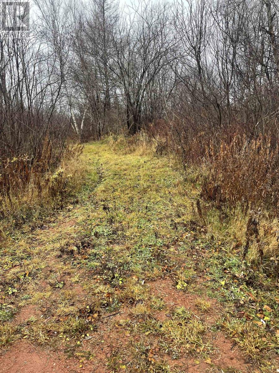 Centerline Road, St. Lawrence, Prince Edward Island  C0B 1K0 - Photo 1 - 202426921