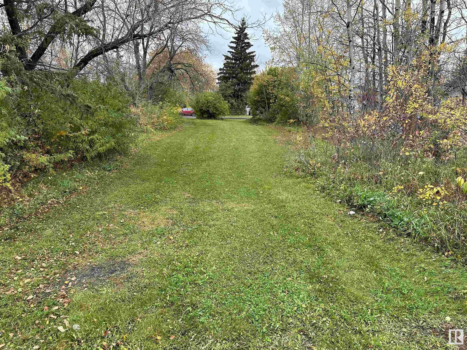 5107 51 St, Cold Lake, Alberta  T9M 1W3 - Photo 6 - E4414048