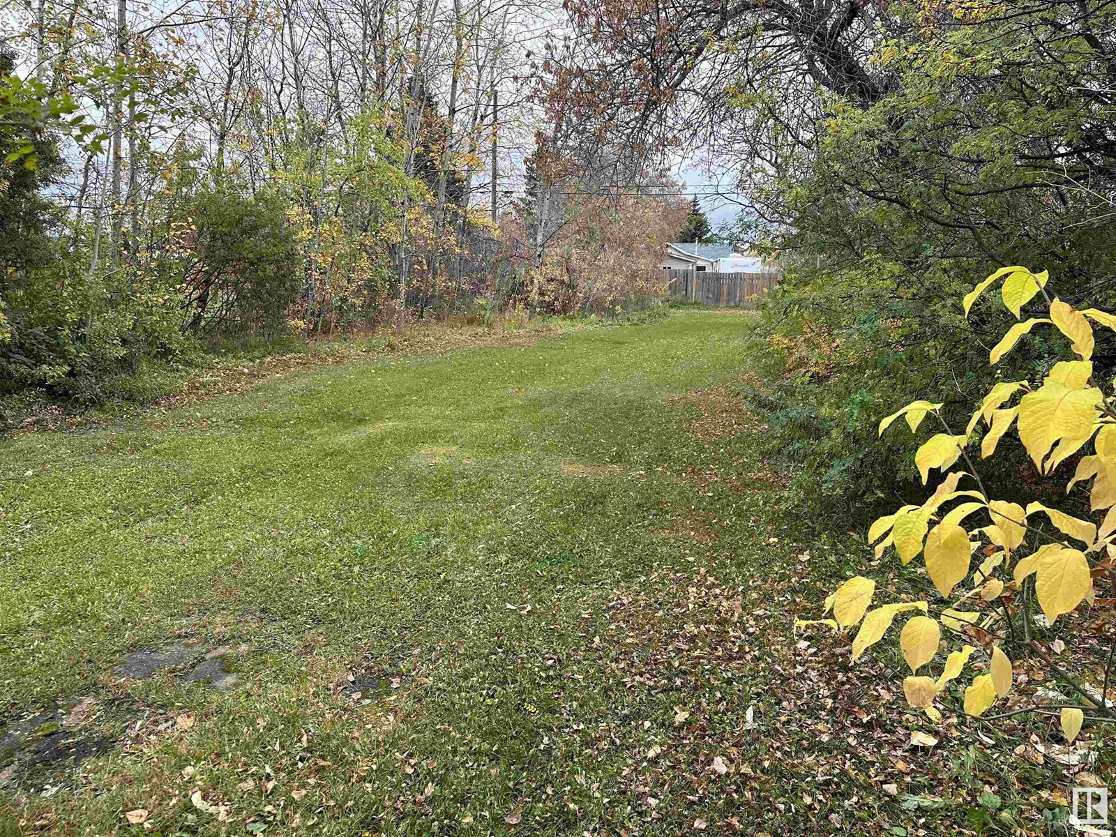 5107 51 St, Cold Lake, Alberta  T9M 1W3 - Photo 4 - E4414048