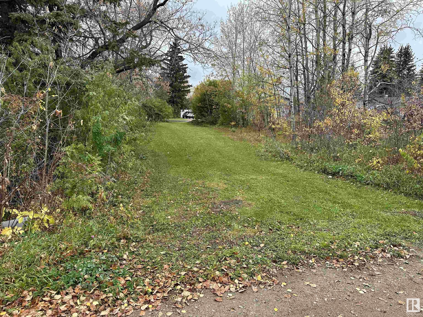 5107 51 St, Cold Lake, Alberta  T9M 1W3 - Photo 2 - E4414048