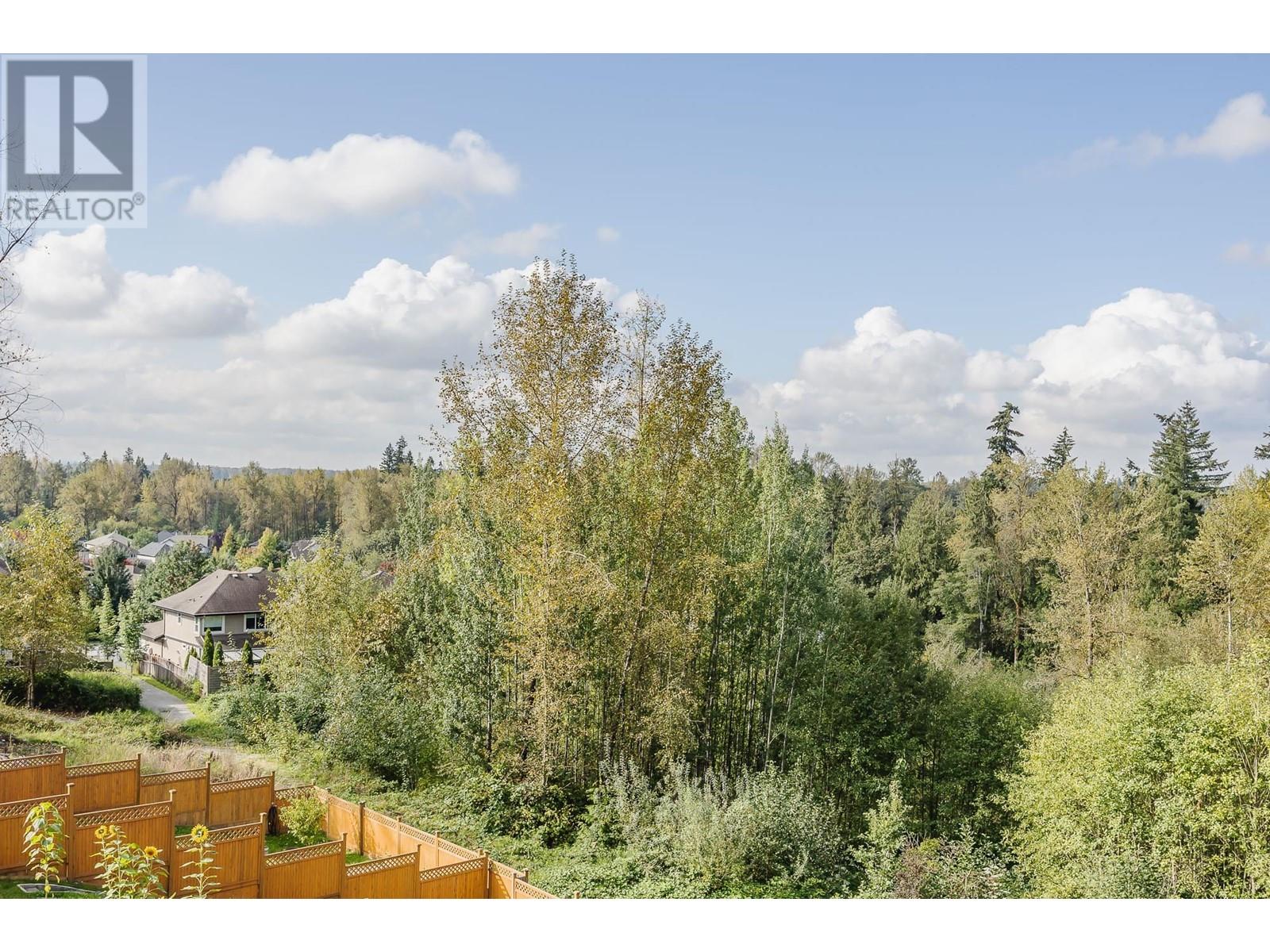 11229 238 Street, Maple Ridge, British Columbia  V2W 1V4 - Photo 18 - R2945551