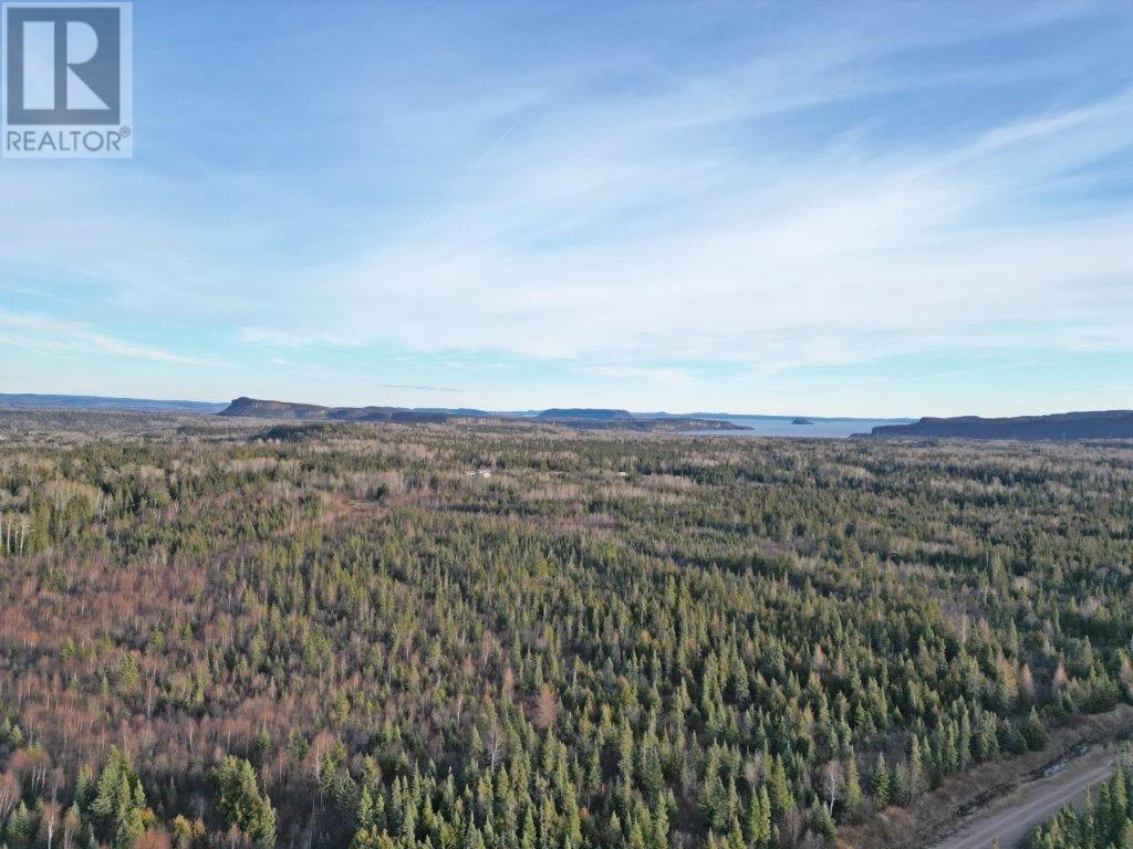 411 Hwy 11-17, Nipigon, Ontario  P0T 2J0 - Photo 22 - TB243555