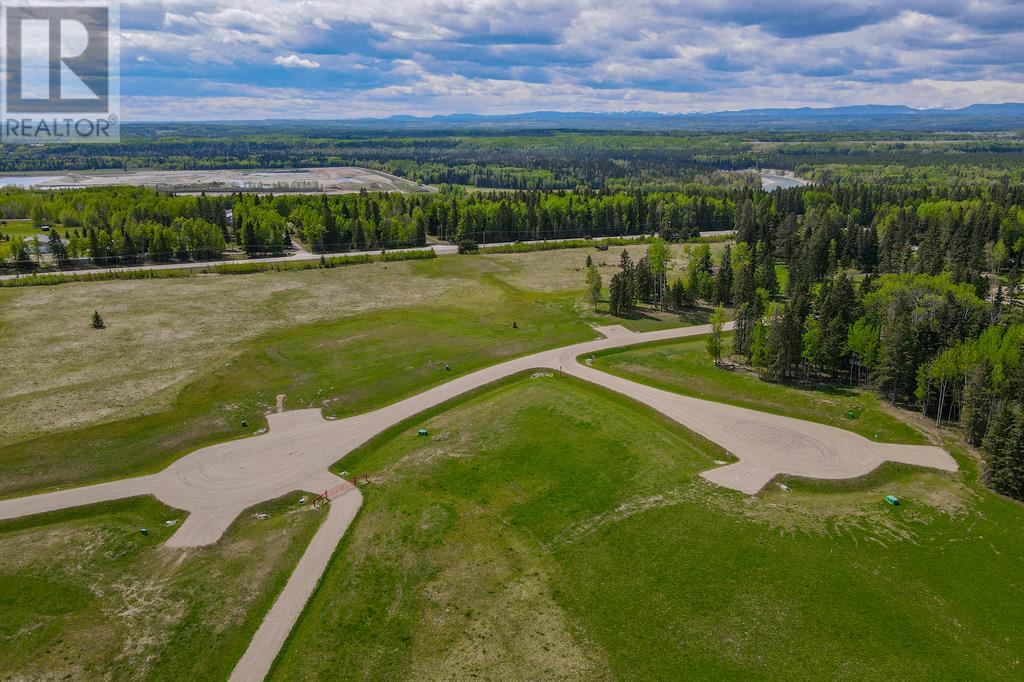 102 Fox Ridge Boulevard, Rural Clearwater County, Alberta  T4T 2A4 - Photo 19 - A2001794