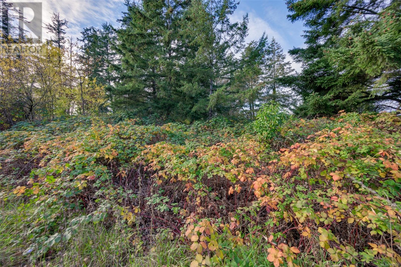 0 Helmcken Rd, Saanich, British Columbia  V8Z 2V3 - Photo 30 - 980210