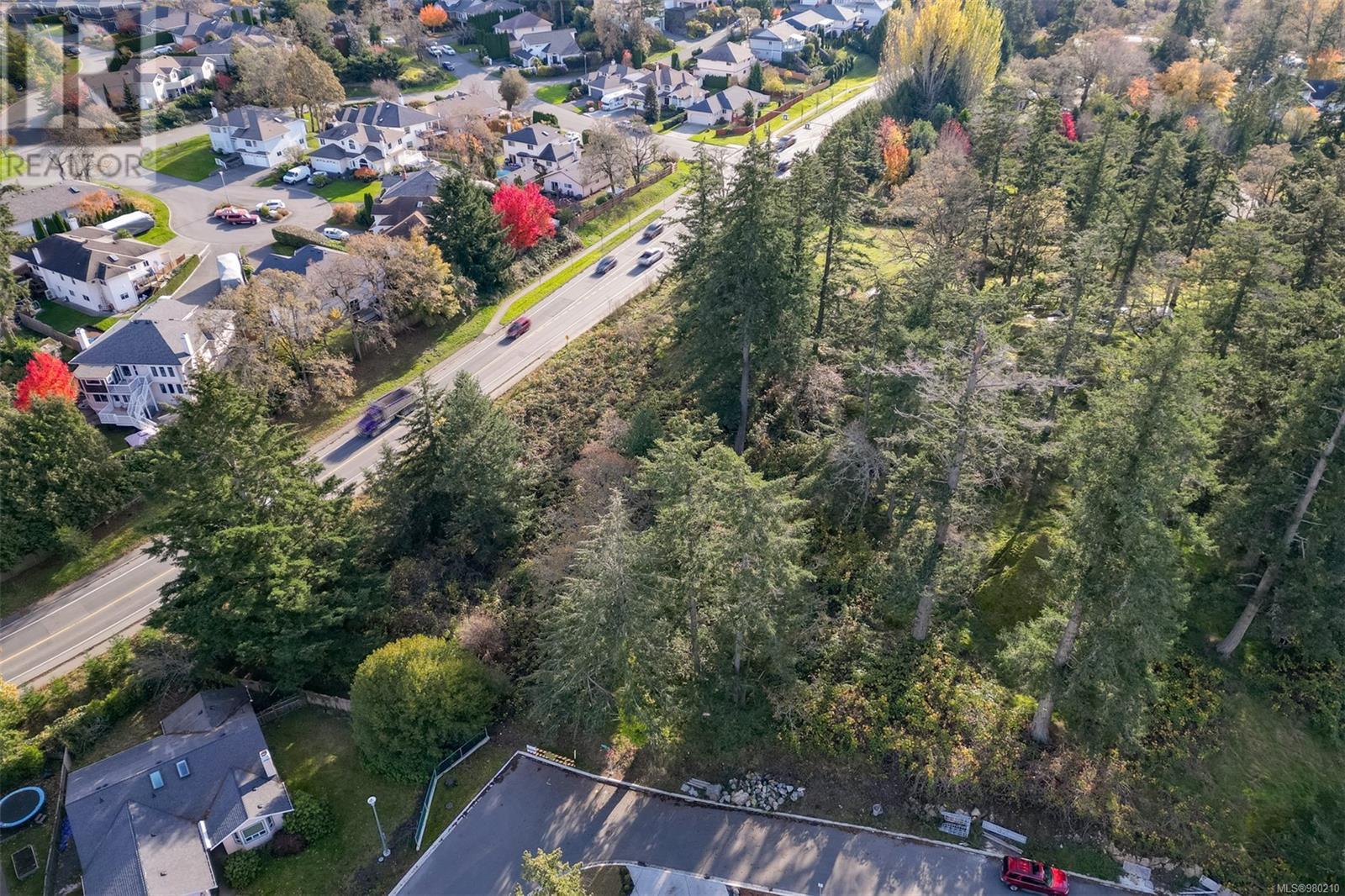 0 Helmcken Rd, Saanich, British Columbia  V8Z 2V3 - Photo 4 - 980210