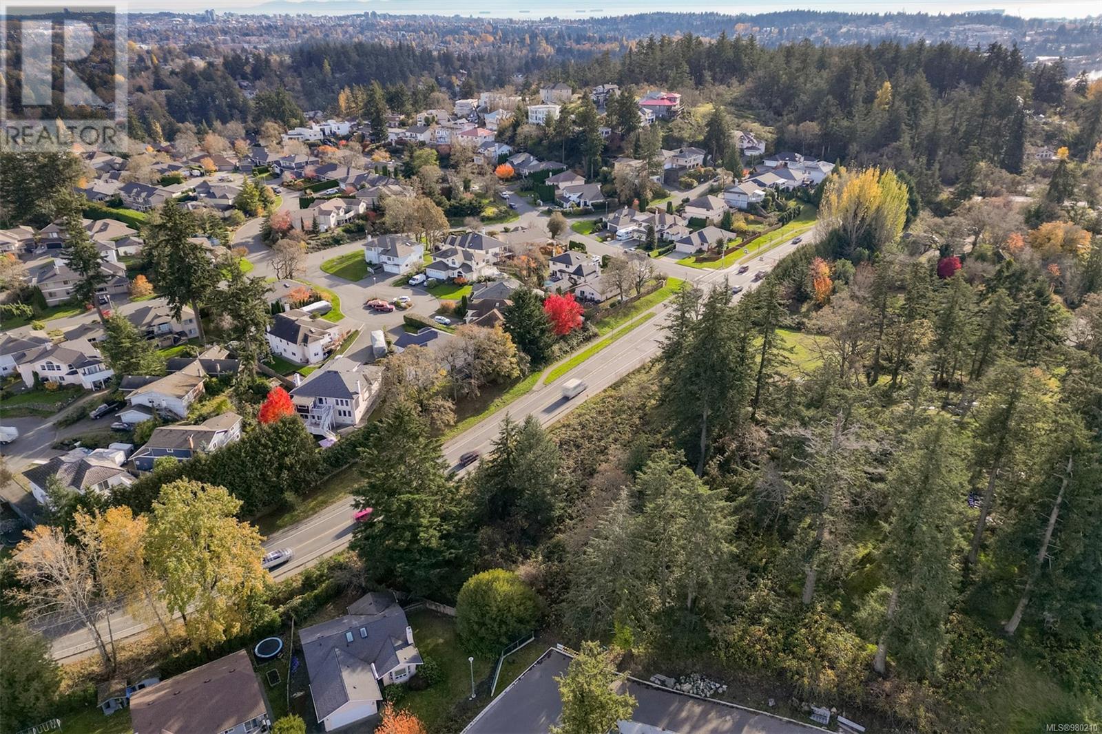 0 Helmcken Rd, Saanich, British Columbia  V8Z 2V3 - Photo 3 - 980210