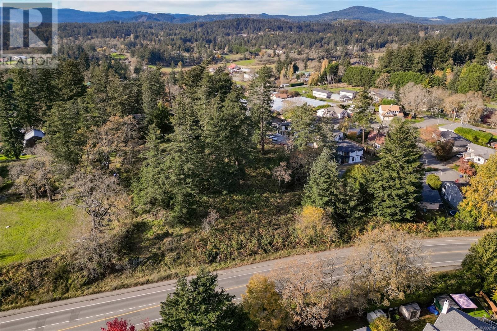 0 Helmcken Rd, Saanich, British Columbia  V8Z 2V3 - Photo 11 - 980210