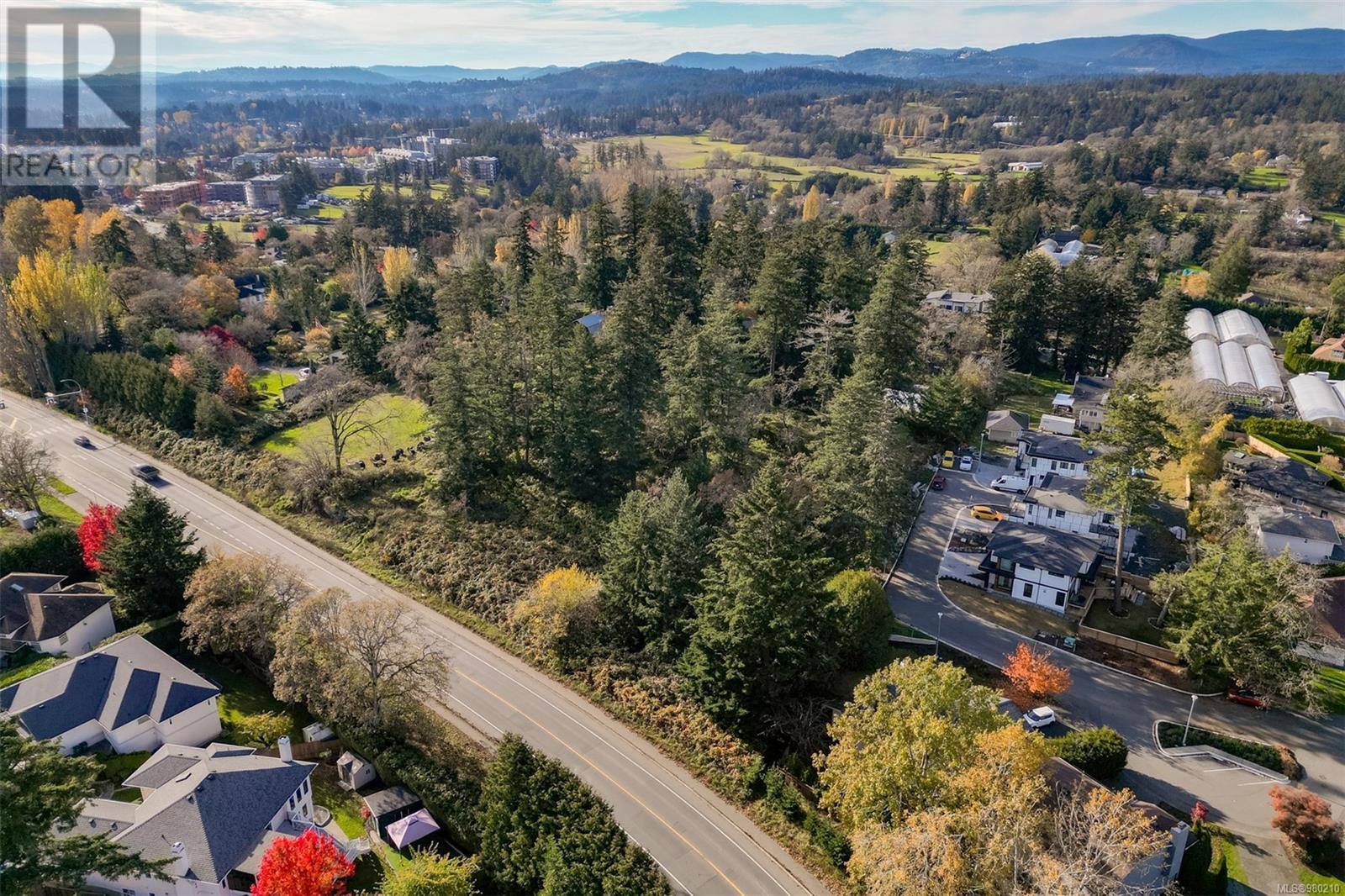 0 Helmcken Rd, Saanich, British Columbia  V8Z 2V3 - Photo 8 - 980210