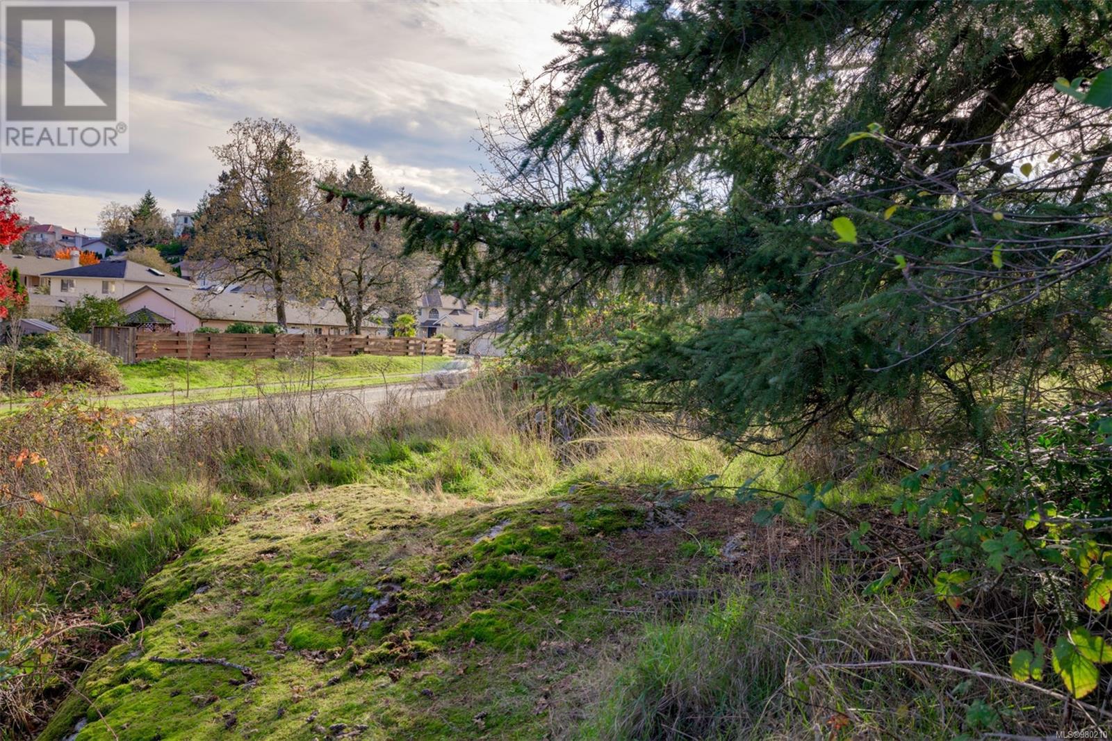 0 Helmcken Rd, Saanich, British Columbia  V8Z 2V3 - Photo 28 - 980210