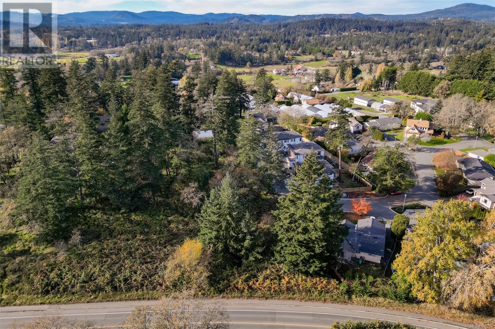 0 Helmcken Rd, Saanich, British Columbia  V8Z 2V3 - Photo 10 - 980210