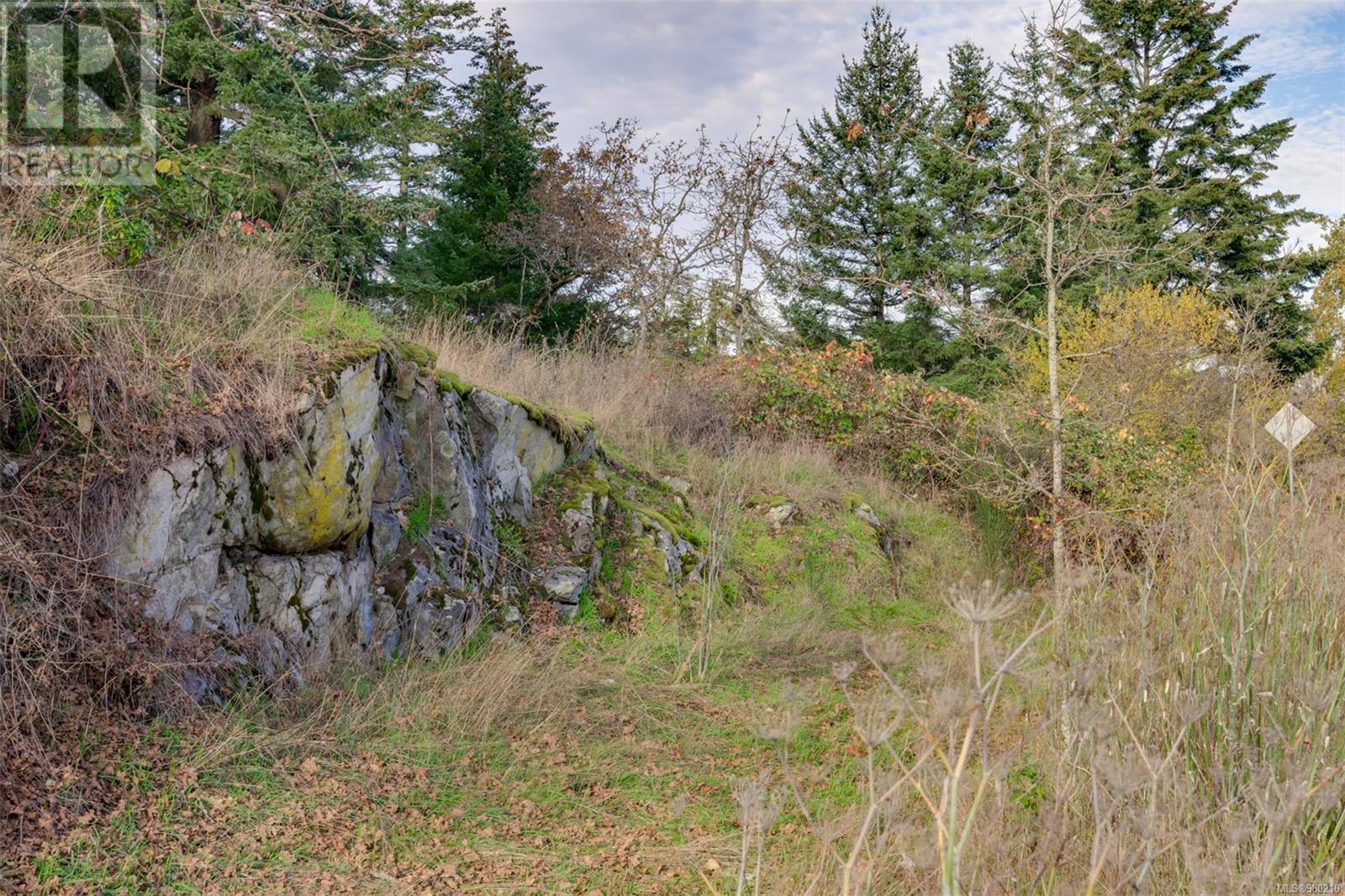 0 Helmcken Rd, Saanich, British Columbia  V8Z 2V3 - Photo 29 - 980210