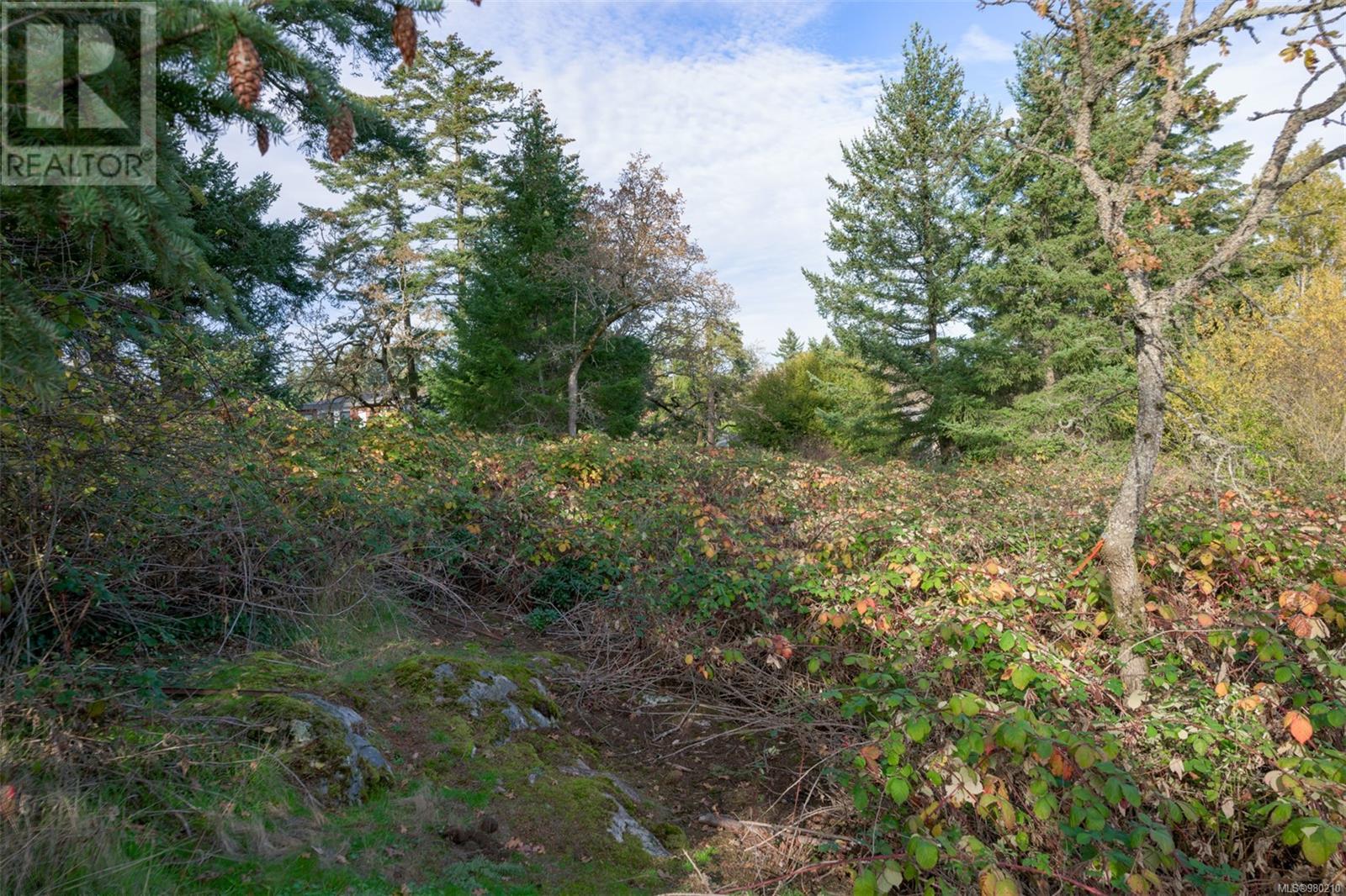 0 Helmcken Rd, Saanich, British Columbia  V8Z 2V3 - Photo 26 - 980210