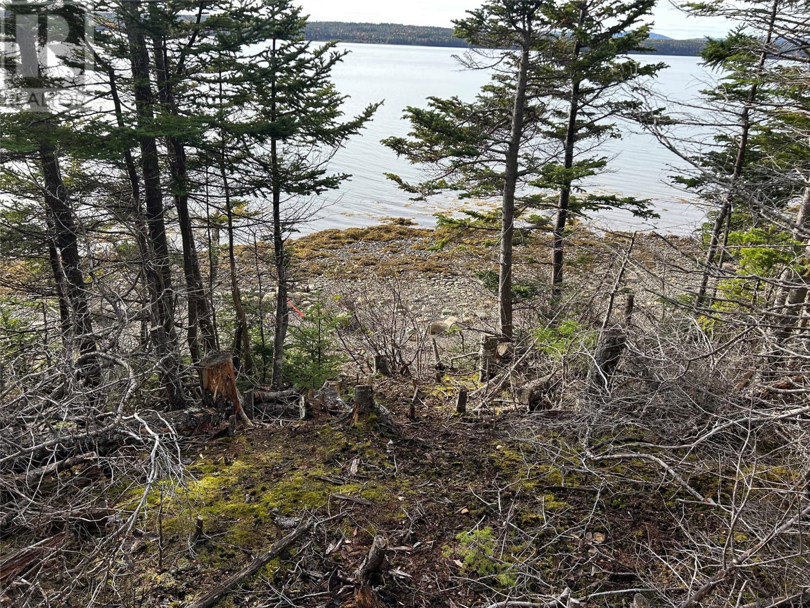 Lot #2, Route 232 Smith Sound Road, Harcourt, Newfoundland & Labrador  A5A 3A1 - Photo 2 - 1279571